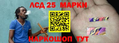 молекула духа Ставрополь