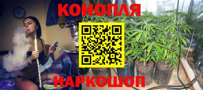 молекула духа Ставрополь